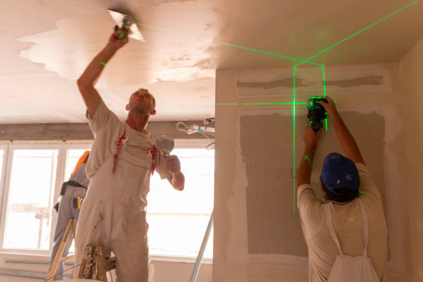 Best Industrial Mold Remediation  in Troup, TX