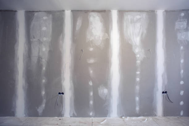 Best Residential Mold Inspection & Testing  in Troup, TX
